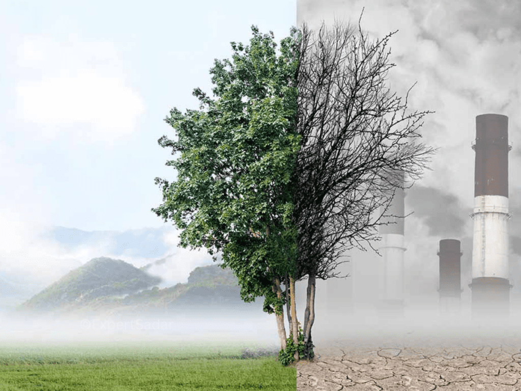 What is an environmental factors and its examples?