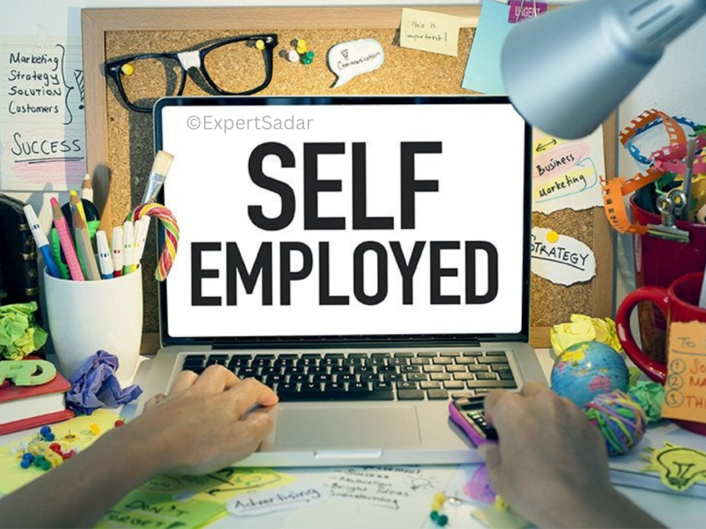 What are pro and cons of Self Employment?