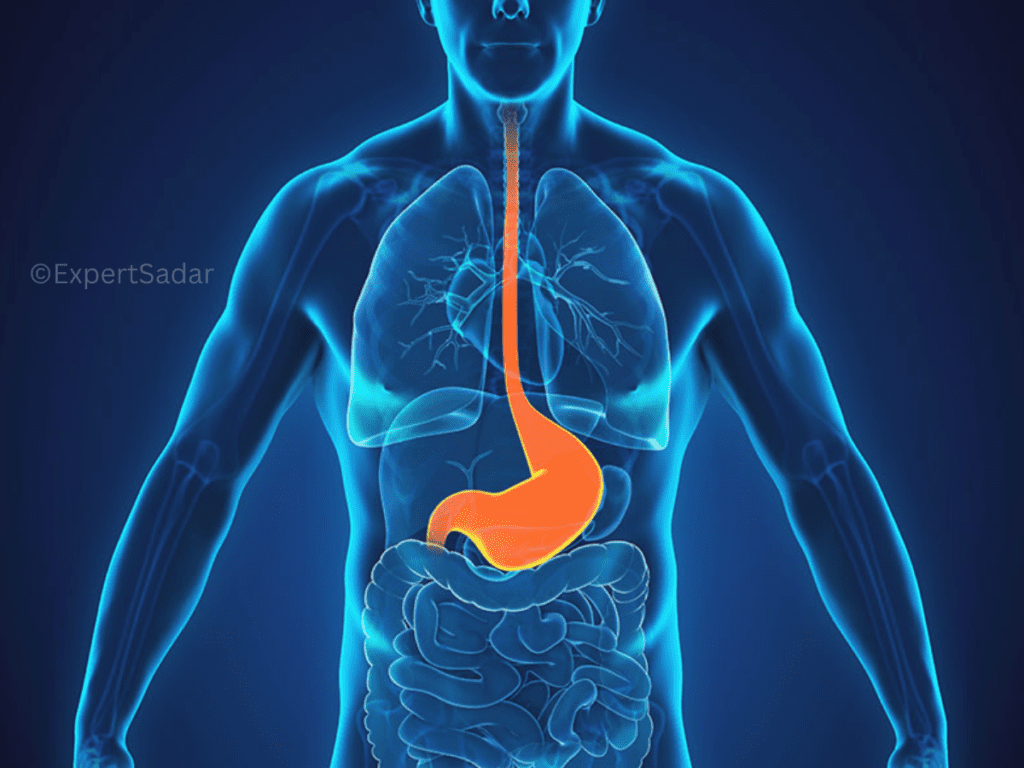 what foods neutralize stomach acid reflux?