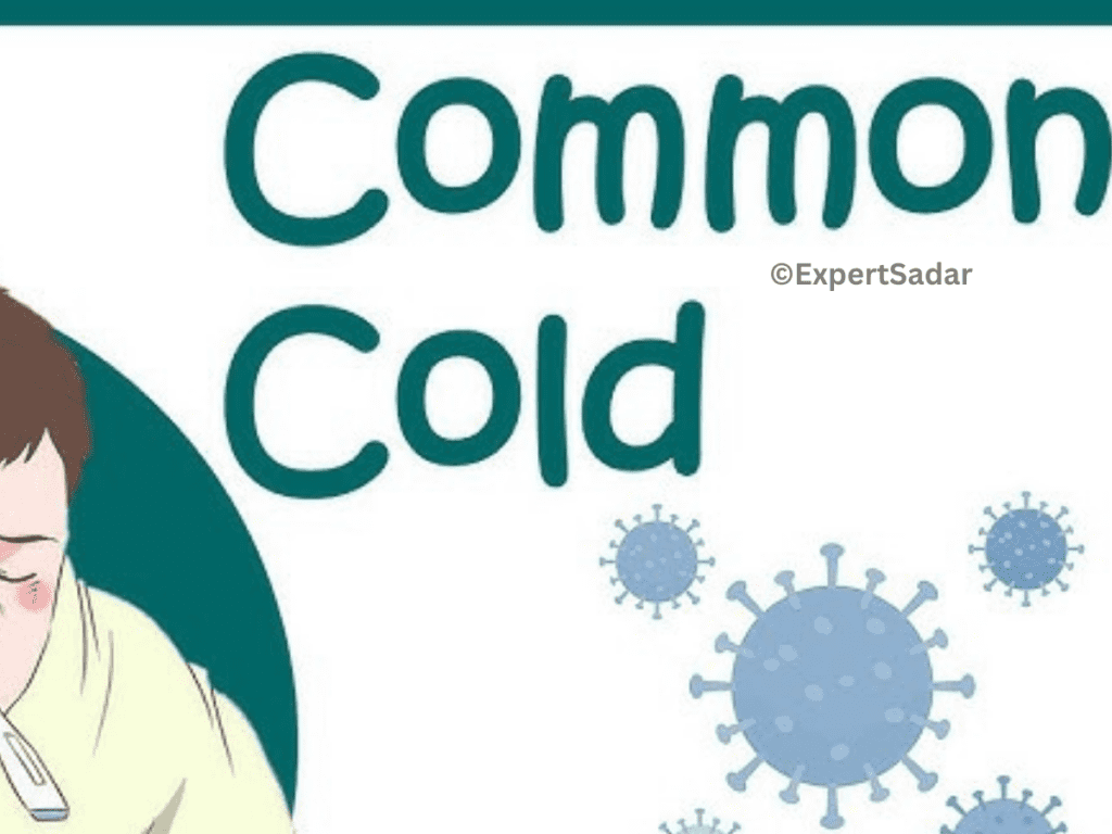 What is the common cold?